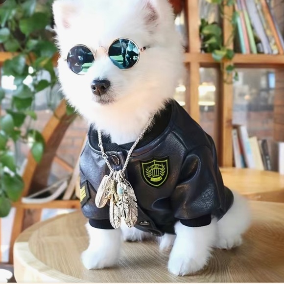 Other - Cute faux leather, fleece lined pet bomber jacket